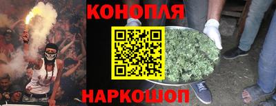 стаф Моздок